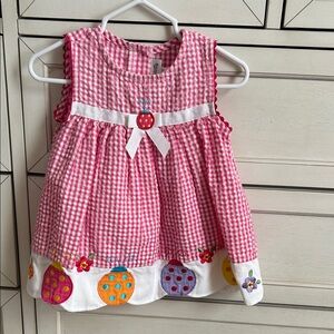 Pink Gingham Baby Dress with Ladybug Embroidery